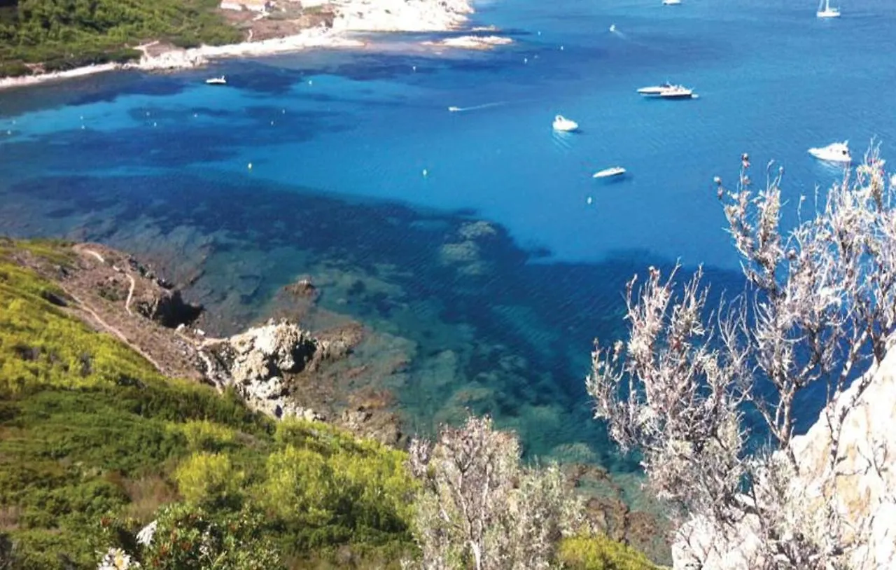 Pet Friendly Home In Ramatuelle With Wifi France